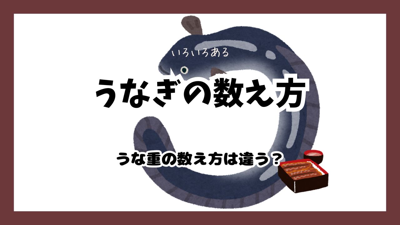 うなぎの数え方