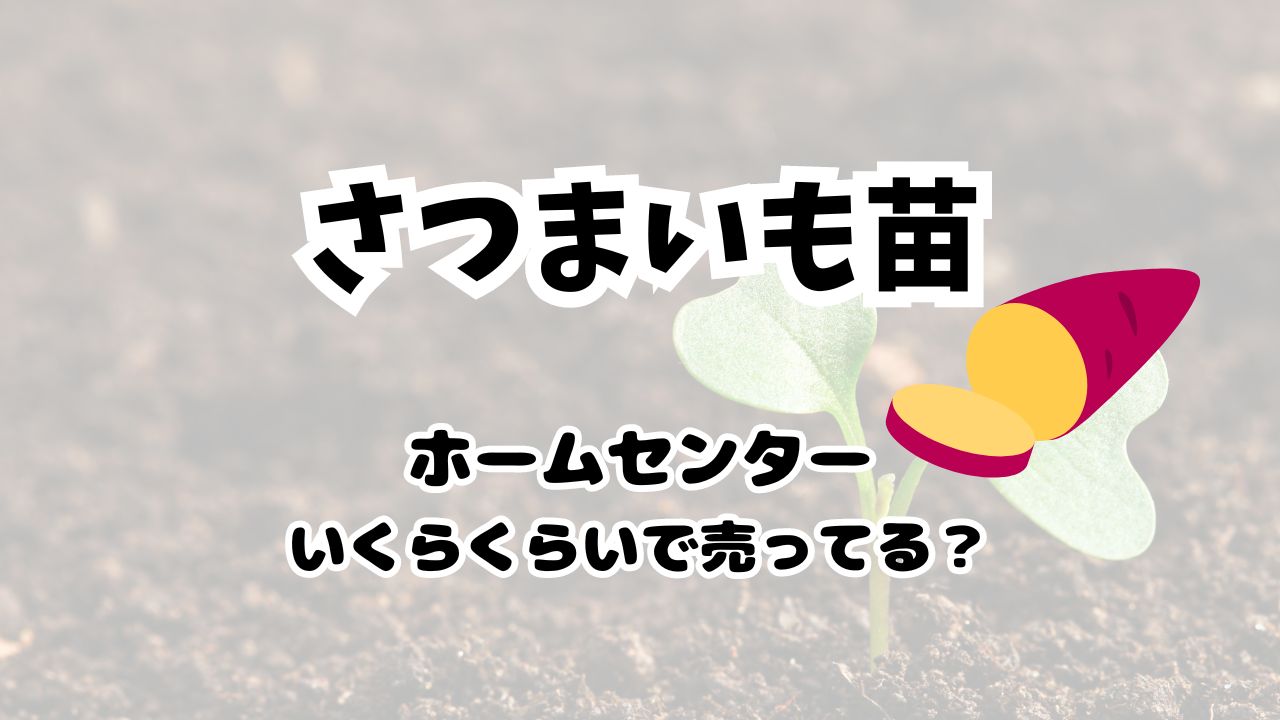 さつまいも苗値段は