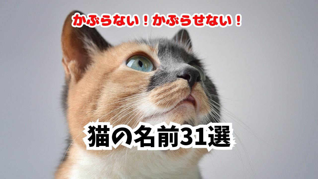 猫の名前かぶらないかぶらせない！